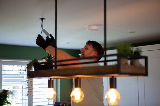 Best Home Electrical Repair  in Albion, PA